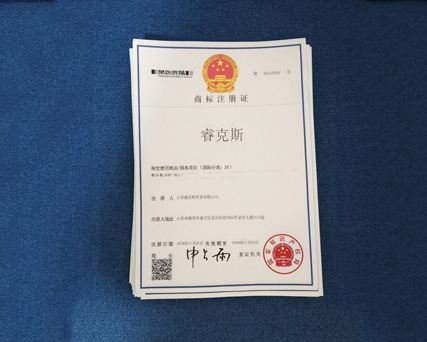 睿克斯