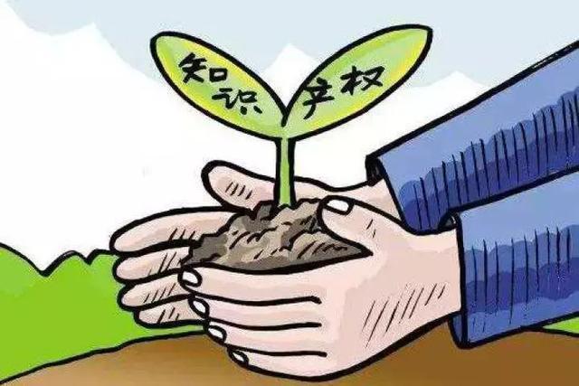 部分共有人能否单独提起著作权侵权之诉？专家